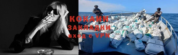 прущие грибы Бугульма