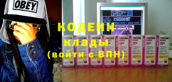 прущие грибы Бугульма
