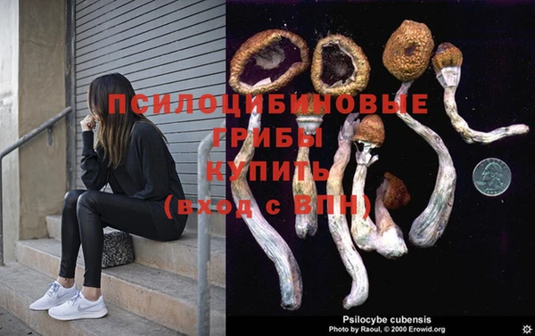 прущие грибы Бугульма