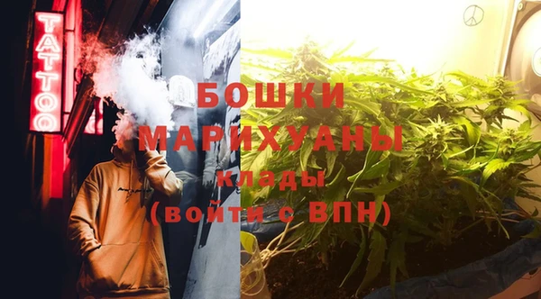 прущие грибы Бугульма