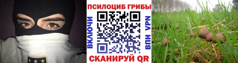 Псилоцибиновые грибы прущие грибы  сколько стоит  Кондрово 